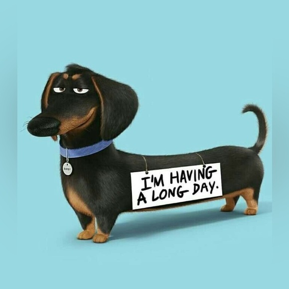 Share Show- Share Your Listing and Mine- Luxury and Designer Items - Picture 4 of 6